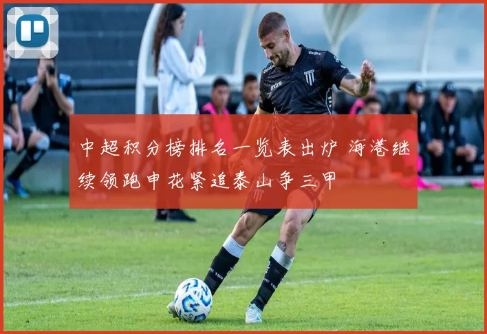 中超积分榜排名一览表出炉 海港继续领跑申花紧追泰山争三甲