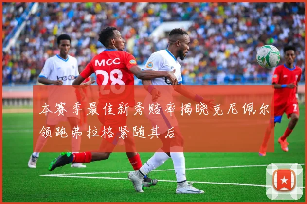 本赛季最佳新秀赔率揭晓克尼佩尔领跑弗拉格紧随其后