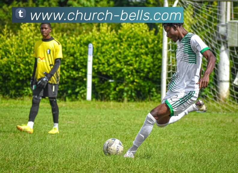 App Interface Preview